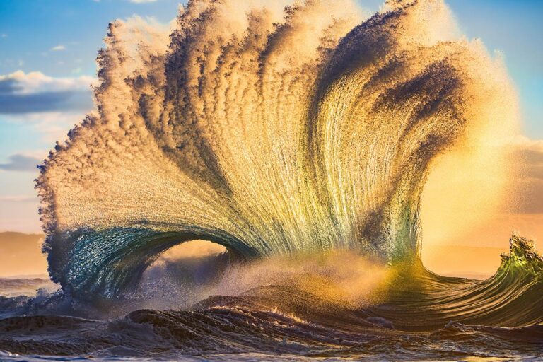 Anastasia Photograph : Philip Thurston