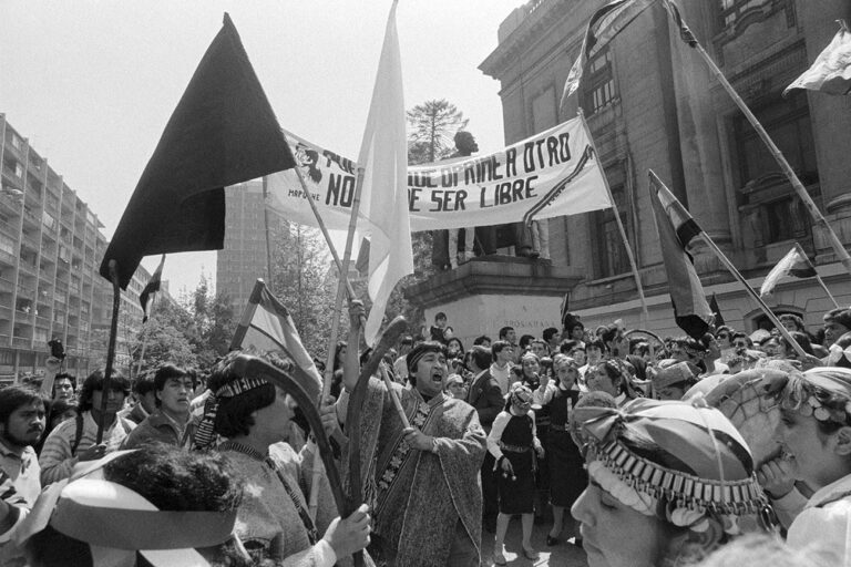 Genders and minorities in battle