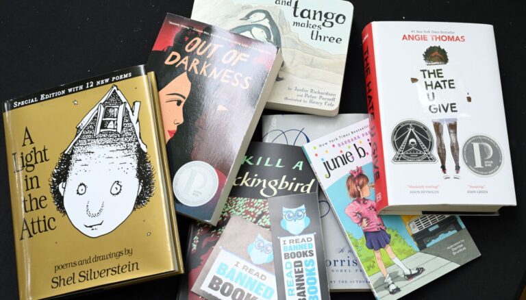 Giannoulias to testify at Durbin’s Senate listening to on rising variety of guide bans