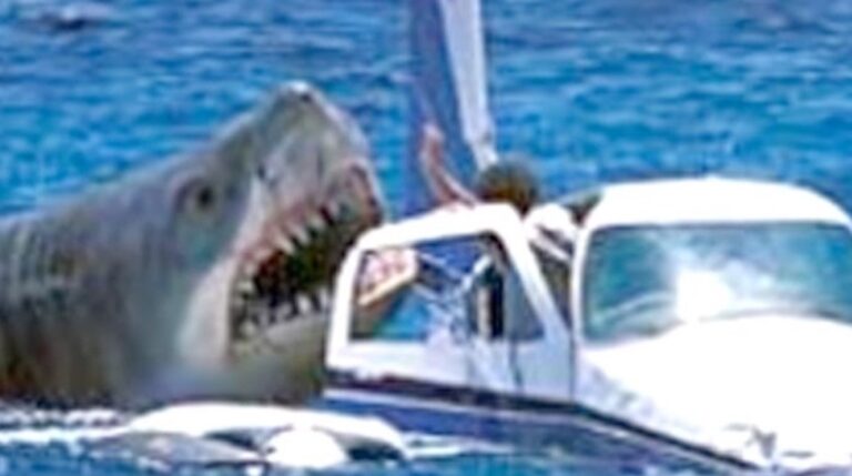 Listed below are the ten worst films of all time, in response to Rotten Tomatoes