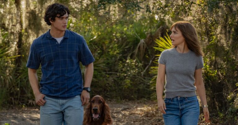 Might December Twitter and Letterboxd Discourse, Defined