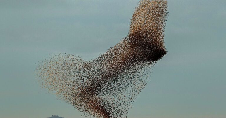 Nature images amongst 10 must-see Seattle artwork exhibits in February 2024