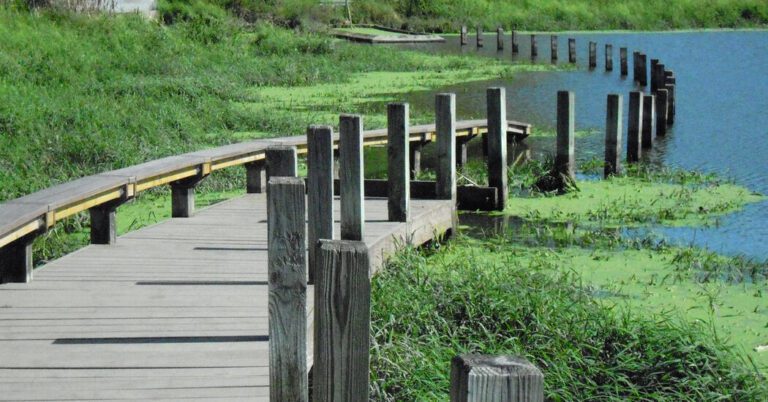 Main Land Artwork Work by Mary Miss Is Imperiled by Its Patron