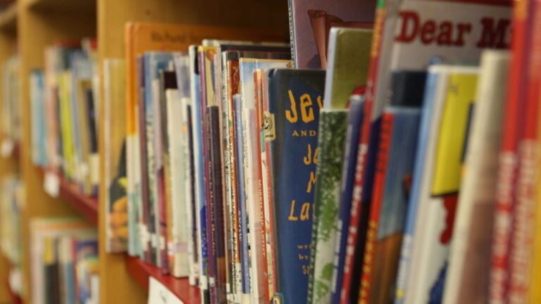 Buncombe County Board of Training bans NYT bestselling e-book