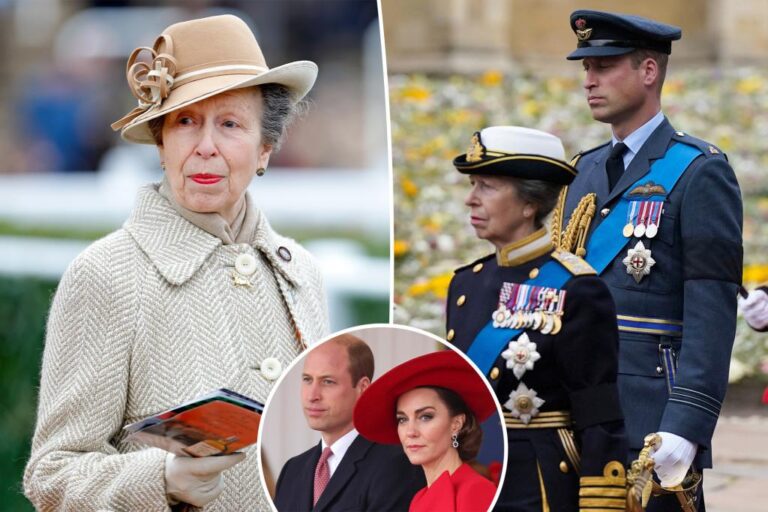 Prince William ‘too tied up’ as ‘dependable’ Princess Anne is the one one who can save the royals: knowledgeable